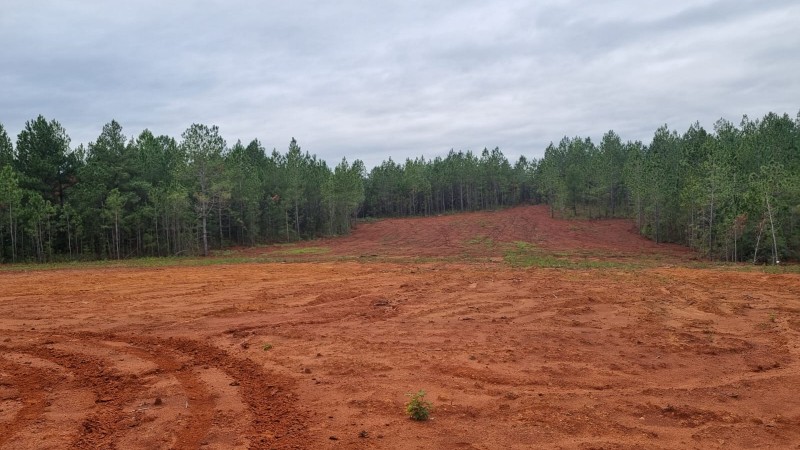 Área da Mina do Iruí em processo de recuperação ambiental. O solo é predominantemente vermelho, com aparência de argila recentemente colocada, característica de áreas em reabilitação após mineração de carvão. Há pouca vegetação visível, indicando a recomposição da cobertura vegetal.
