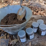 A imagem mostra um balde com terra indicando monitoramento da qualidade do solo. 